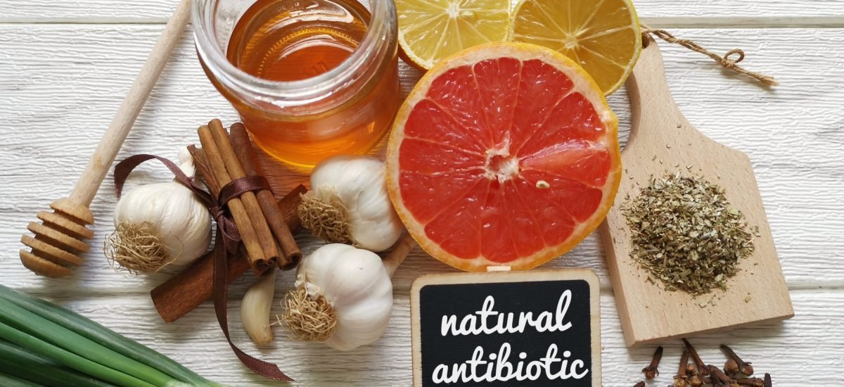 Foods,High,In,Antibiotics.,Healthy,Foods,With,Antibacterial,Properties.,Assortment